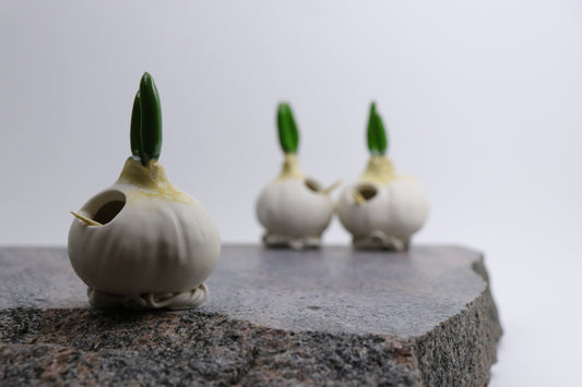 Onion | Toothpick Holder