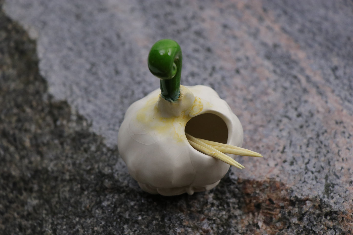 Garlic | Toothpick Holder