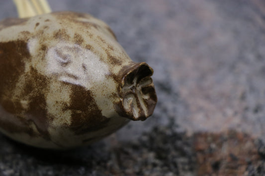 Paslaptingas vaisius | Dantų krapštukų dėklas