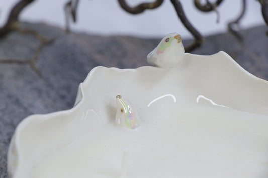 Oval Peace | Without Birds