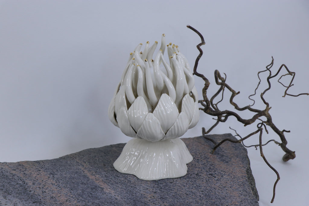 Oval Peace | Without Birds