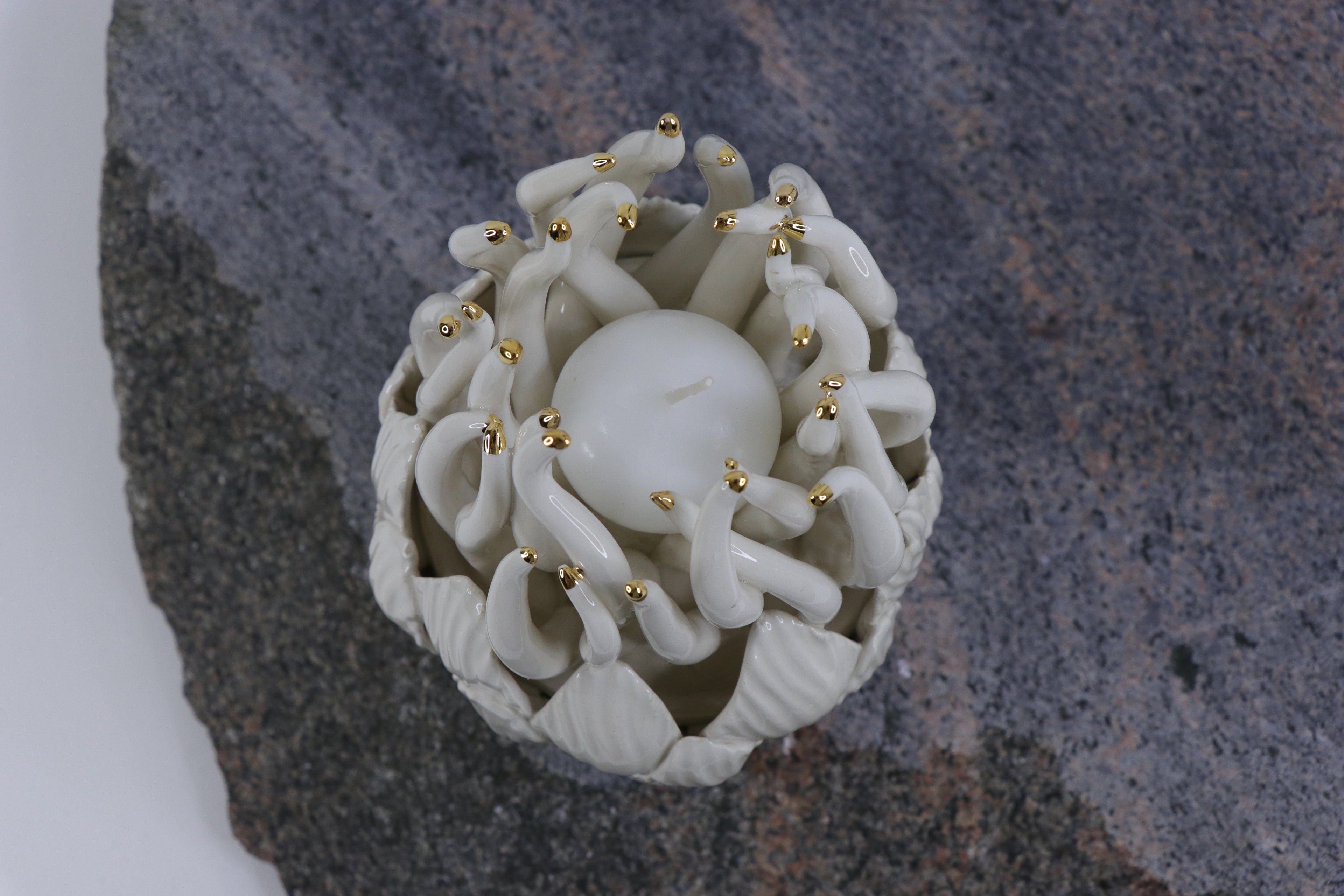 Oval Peace | Without Birds