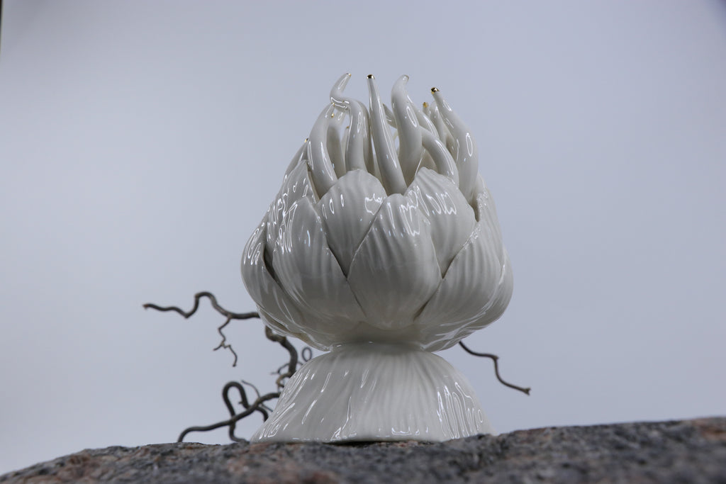 Oval Peace | Without Birds