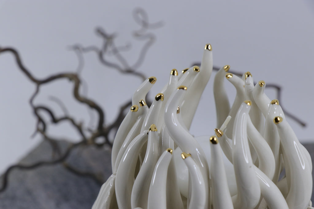 Oval Peace | Without Birds