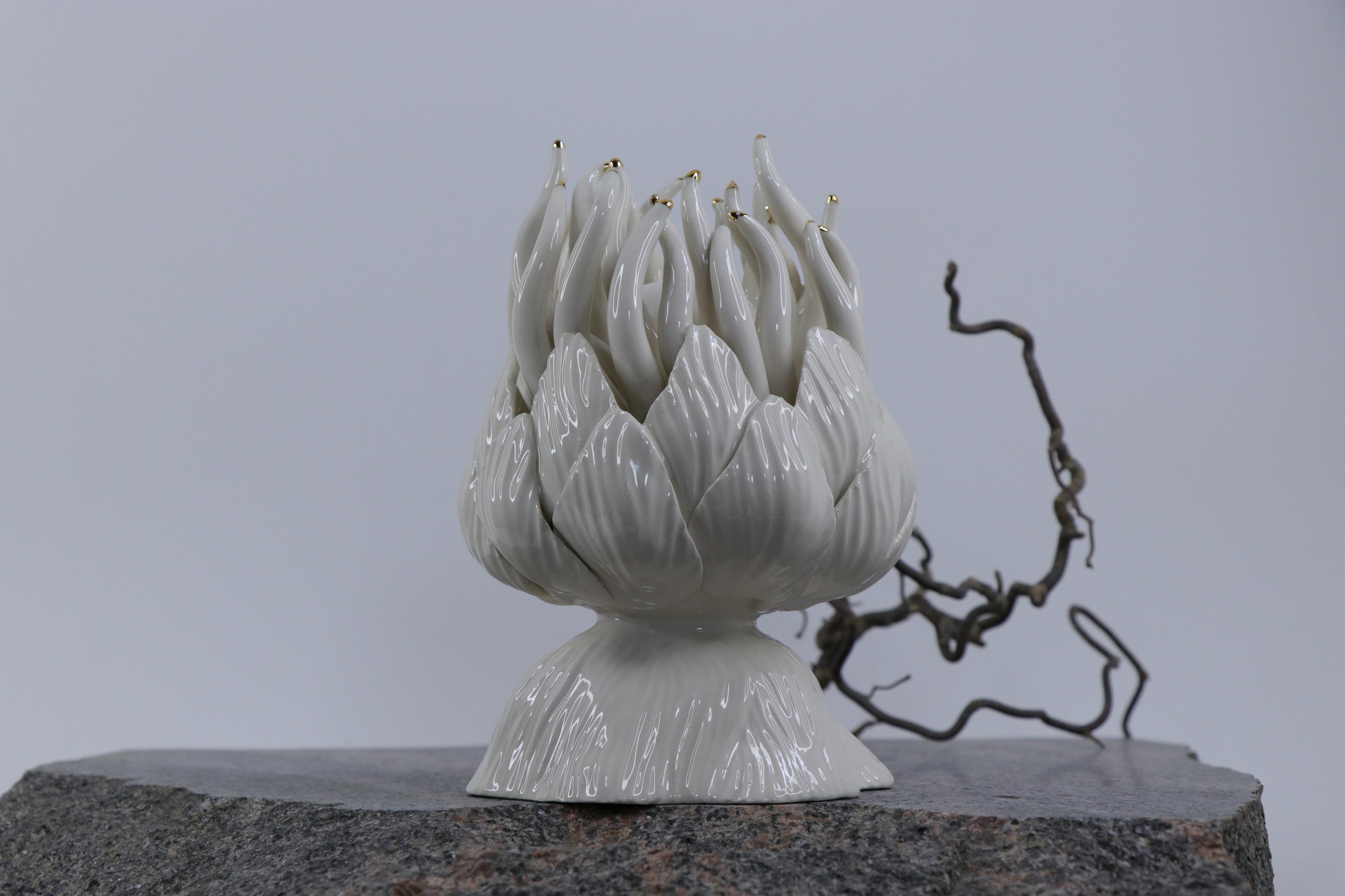 Oval Peace | Without Birds