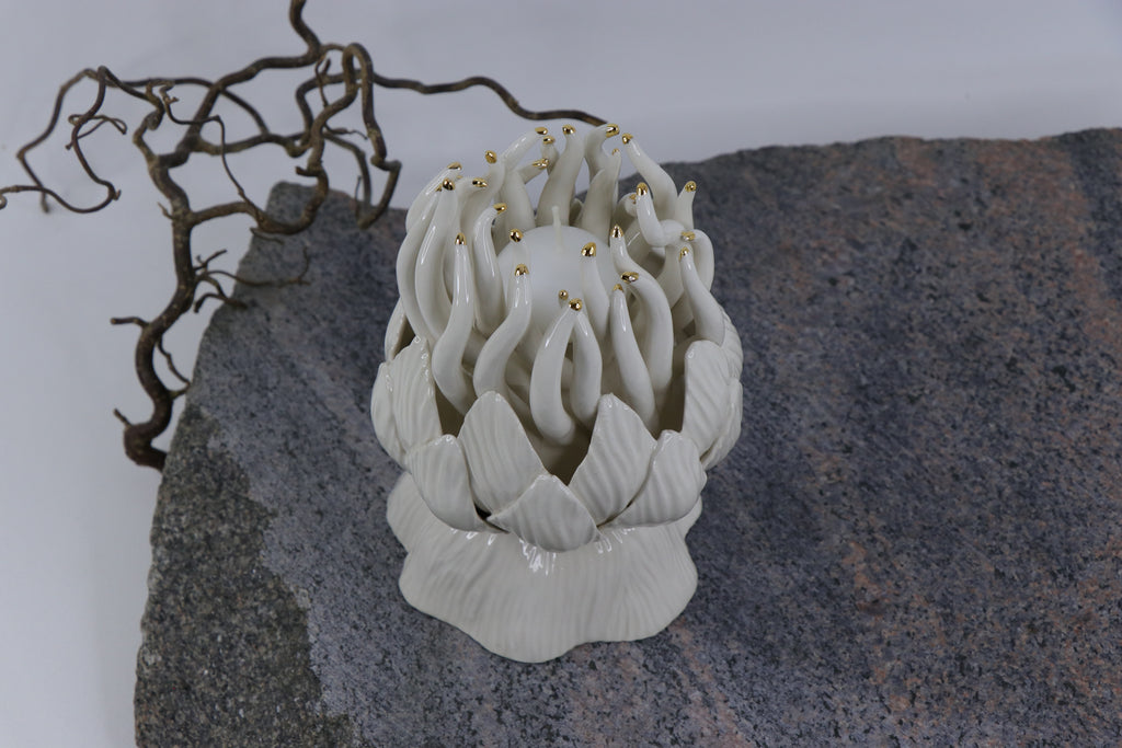 Oval Peace | Without Birds