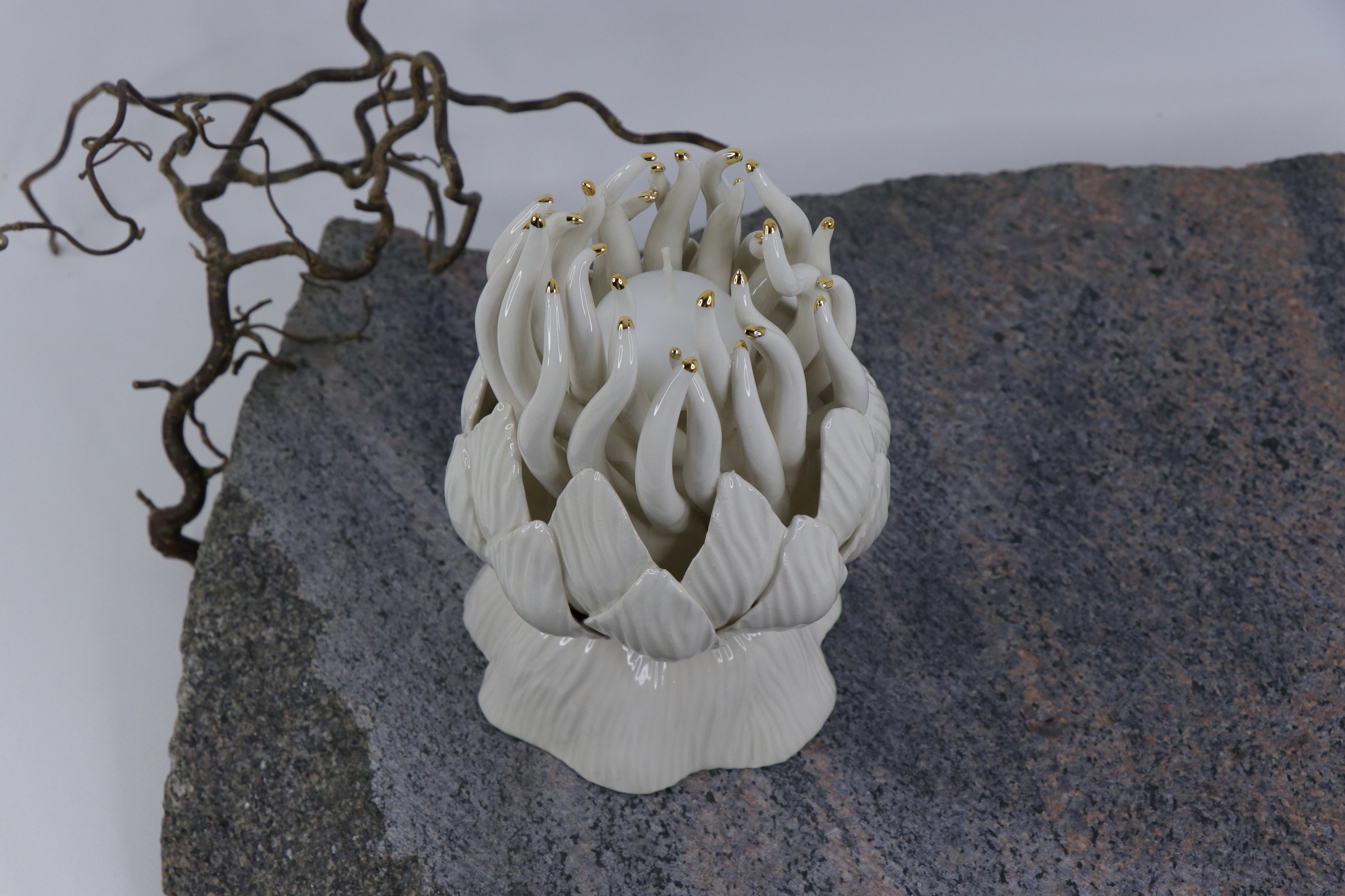 Oval Peace | Without Birds