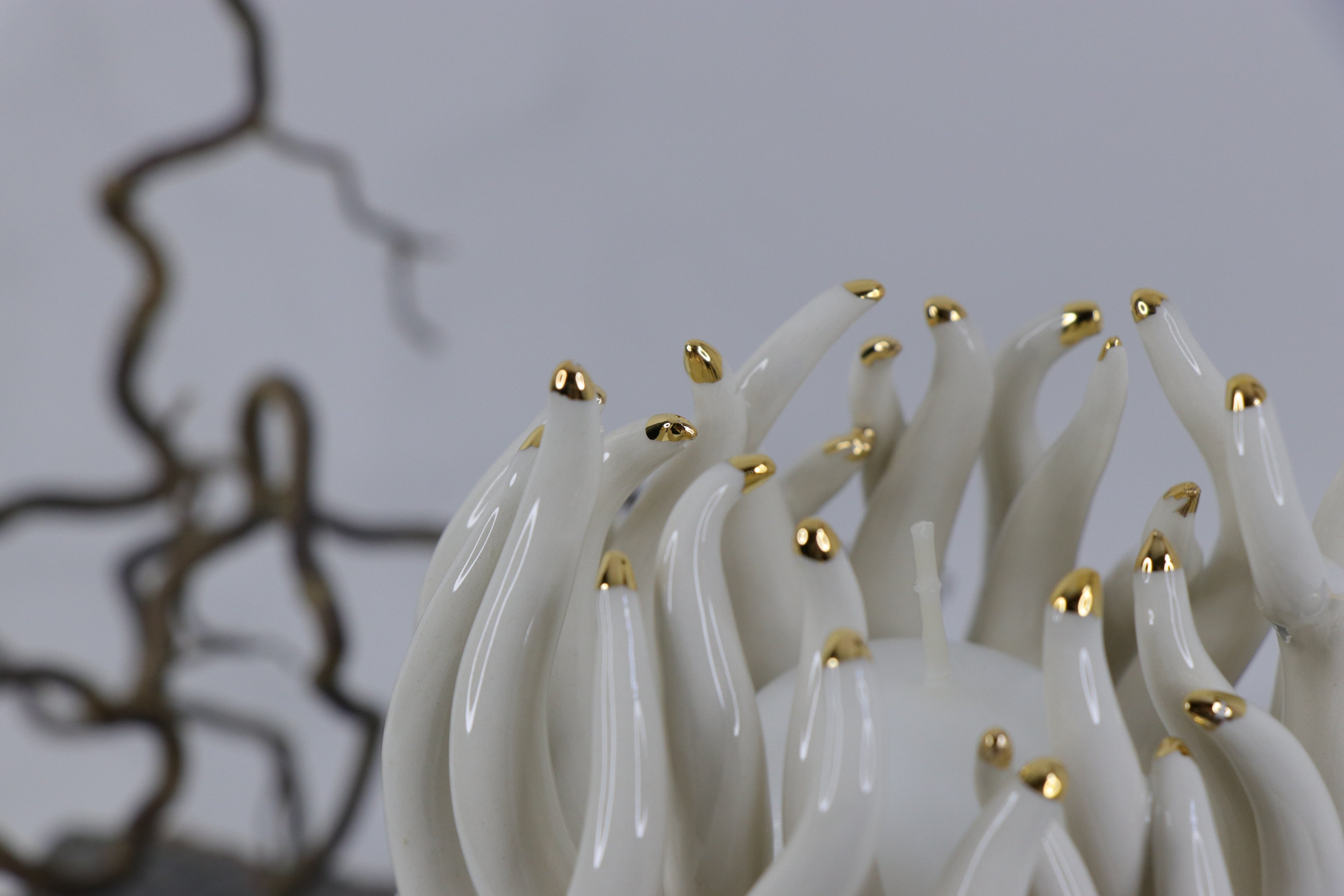 Oval Peace | Without Birds