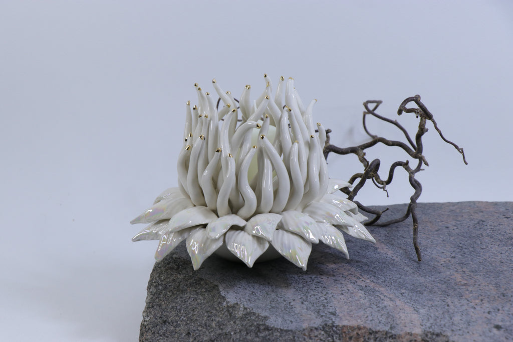 Oval Peace | Without Birds