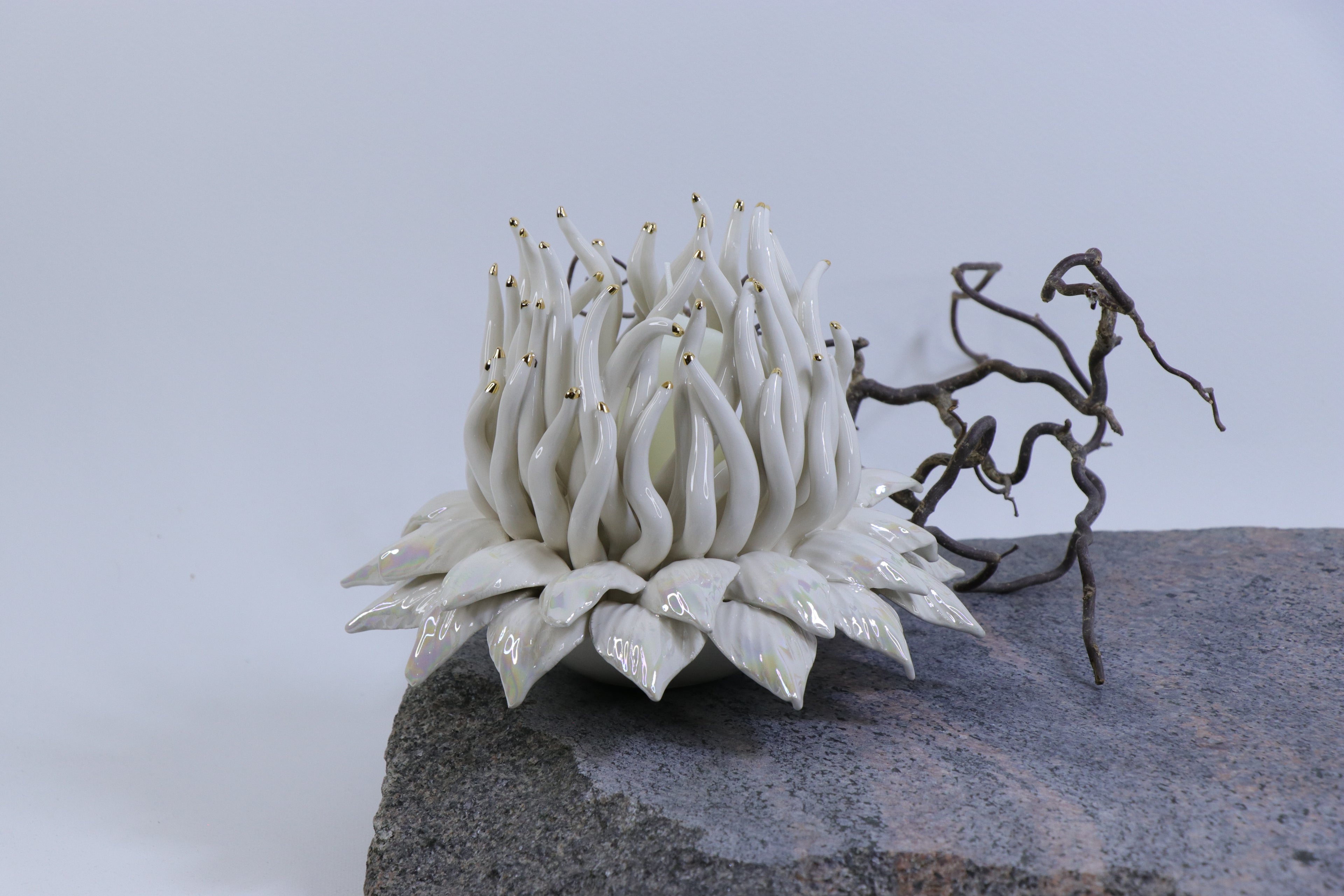 Oval Peace | Without Birds