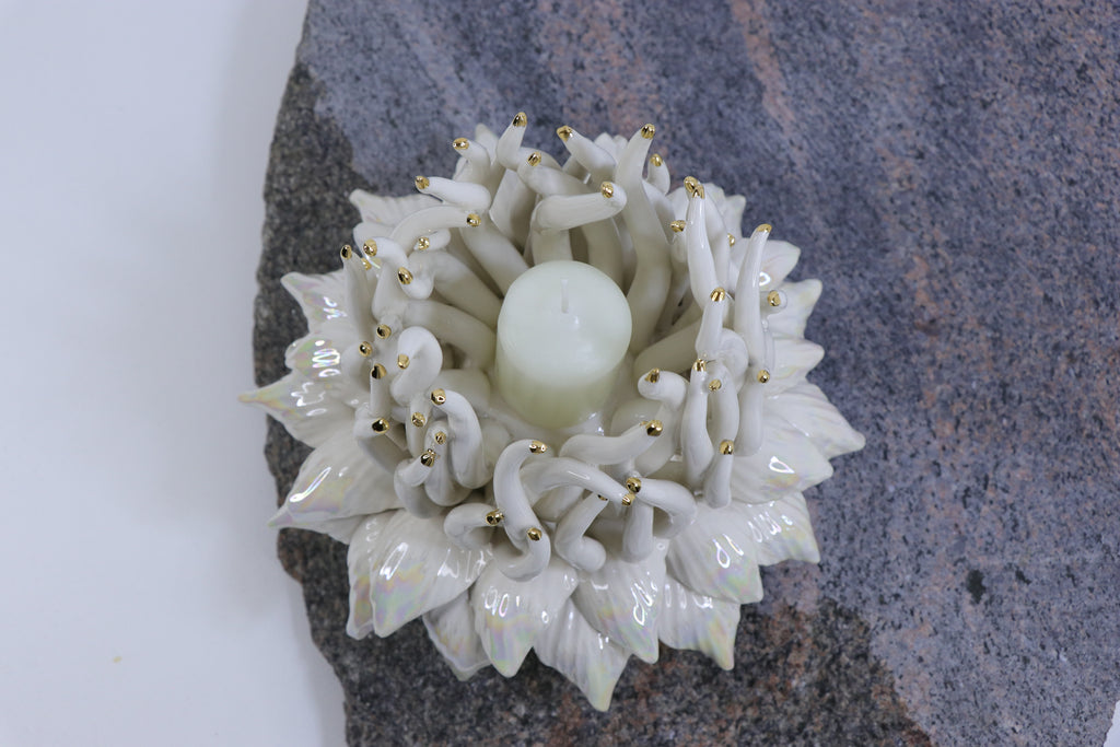 Oval Peace | Without Birds