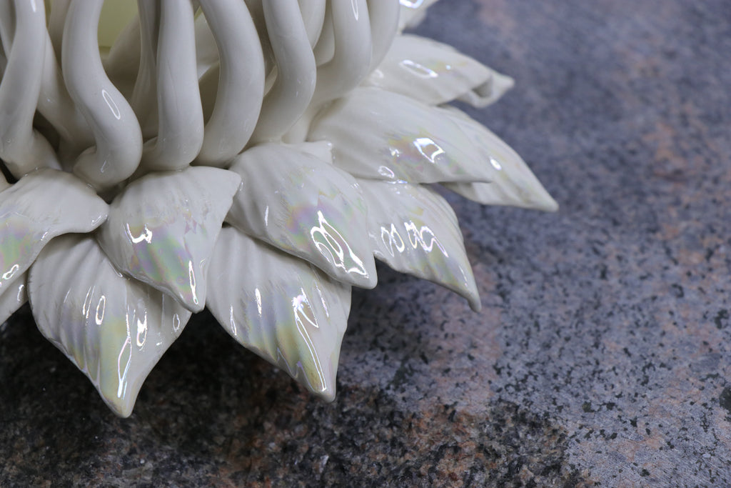 Oval Peace | Without Birds