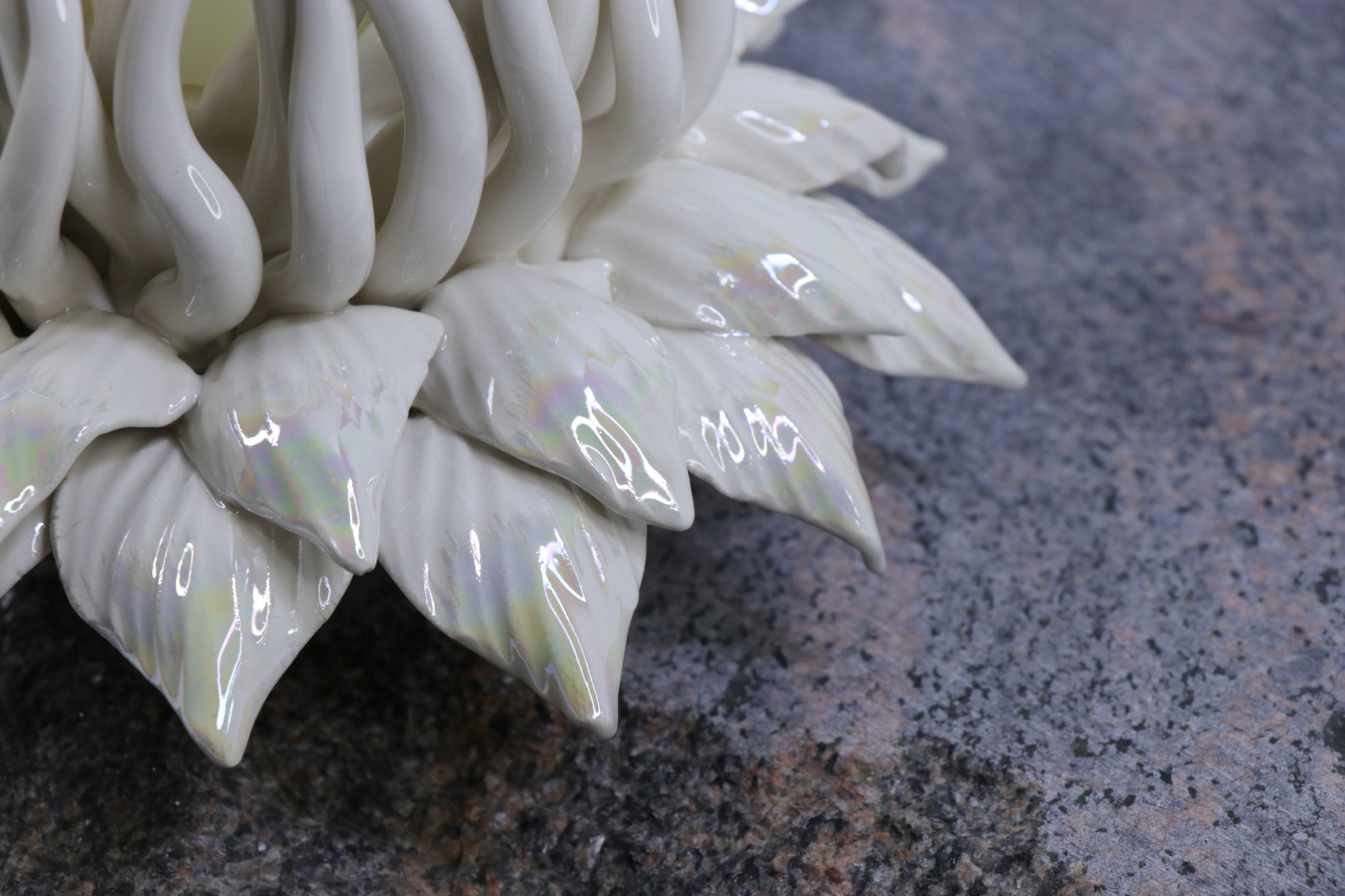 Oval Peace | Without Birds