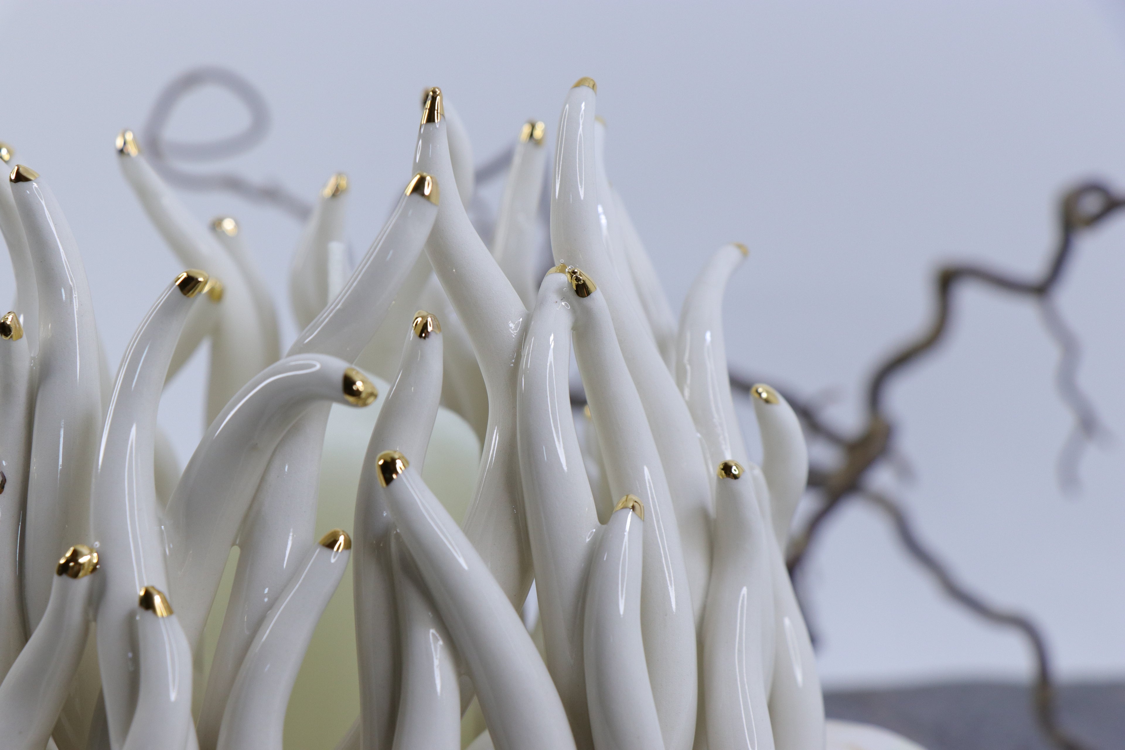 Oval Peace | Without Birds