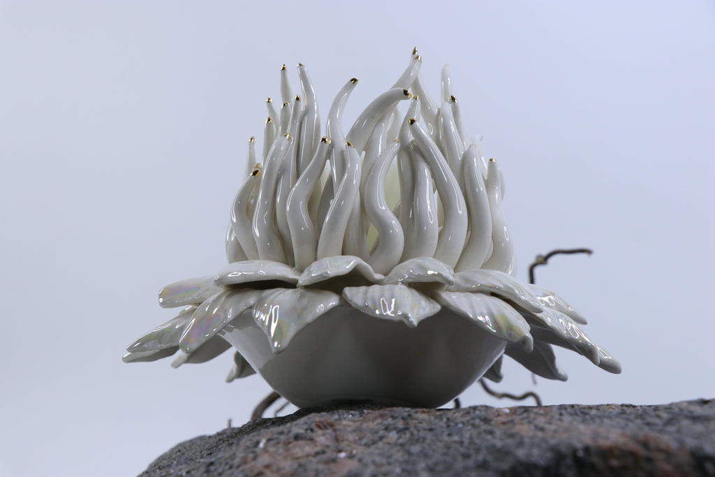 Oval Peace | Without Birds