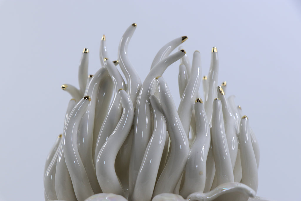 Oval Peace | Without Birds