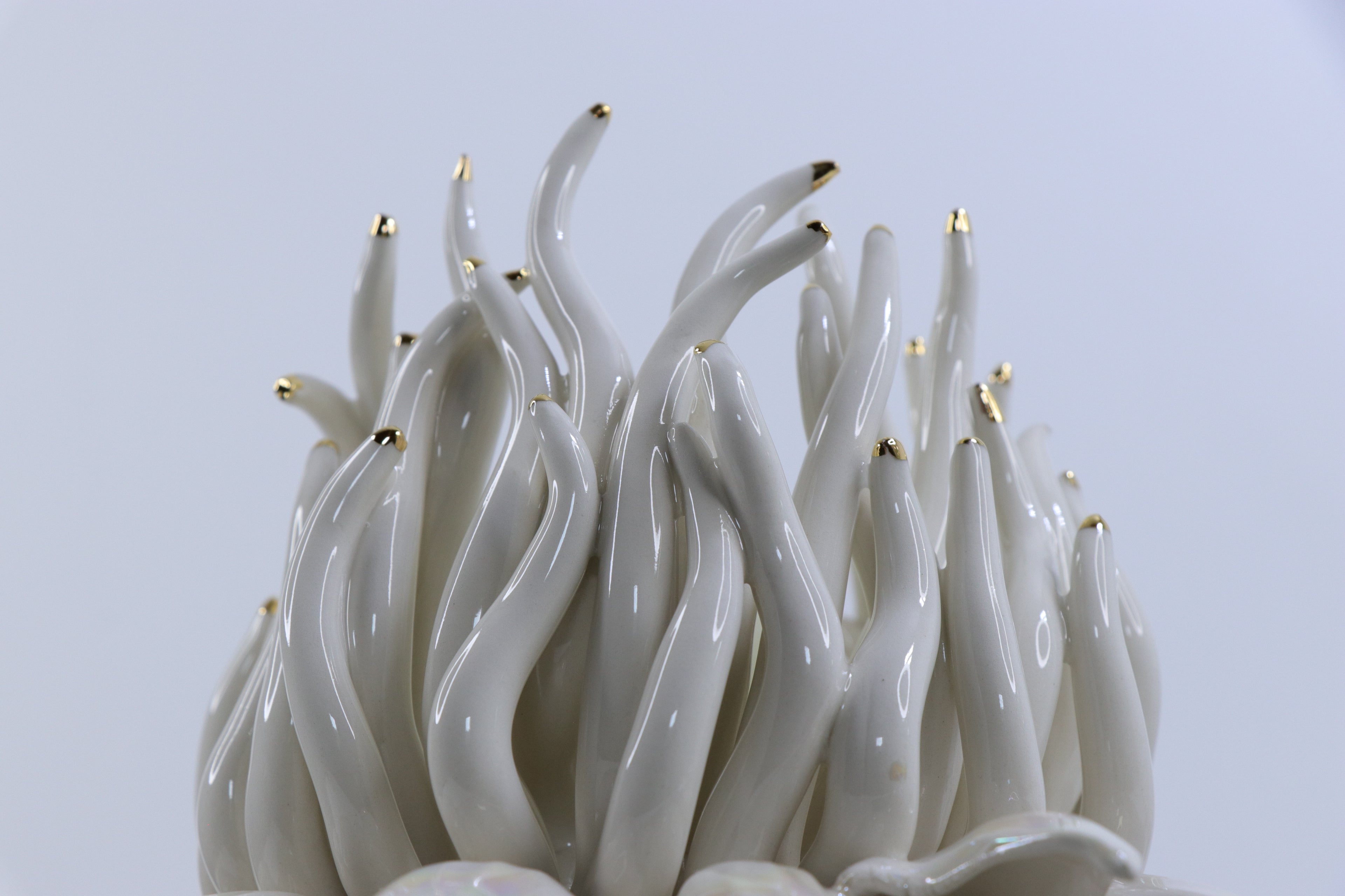 Oval Peace | Without Birds