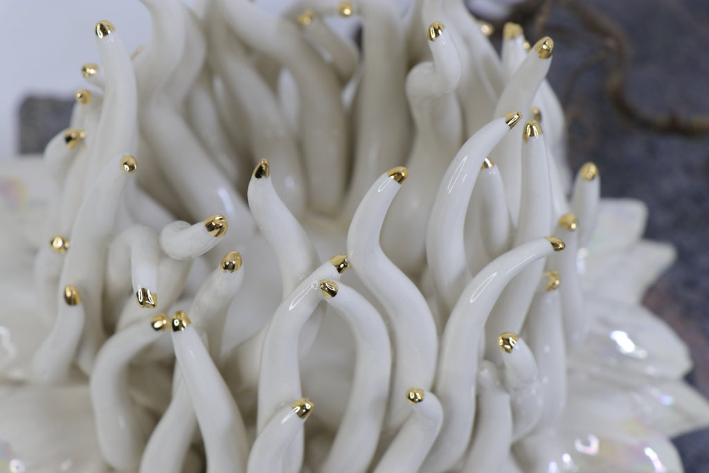 Oval Peace | Without Birds