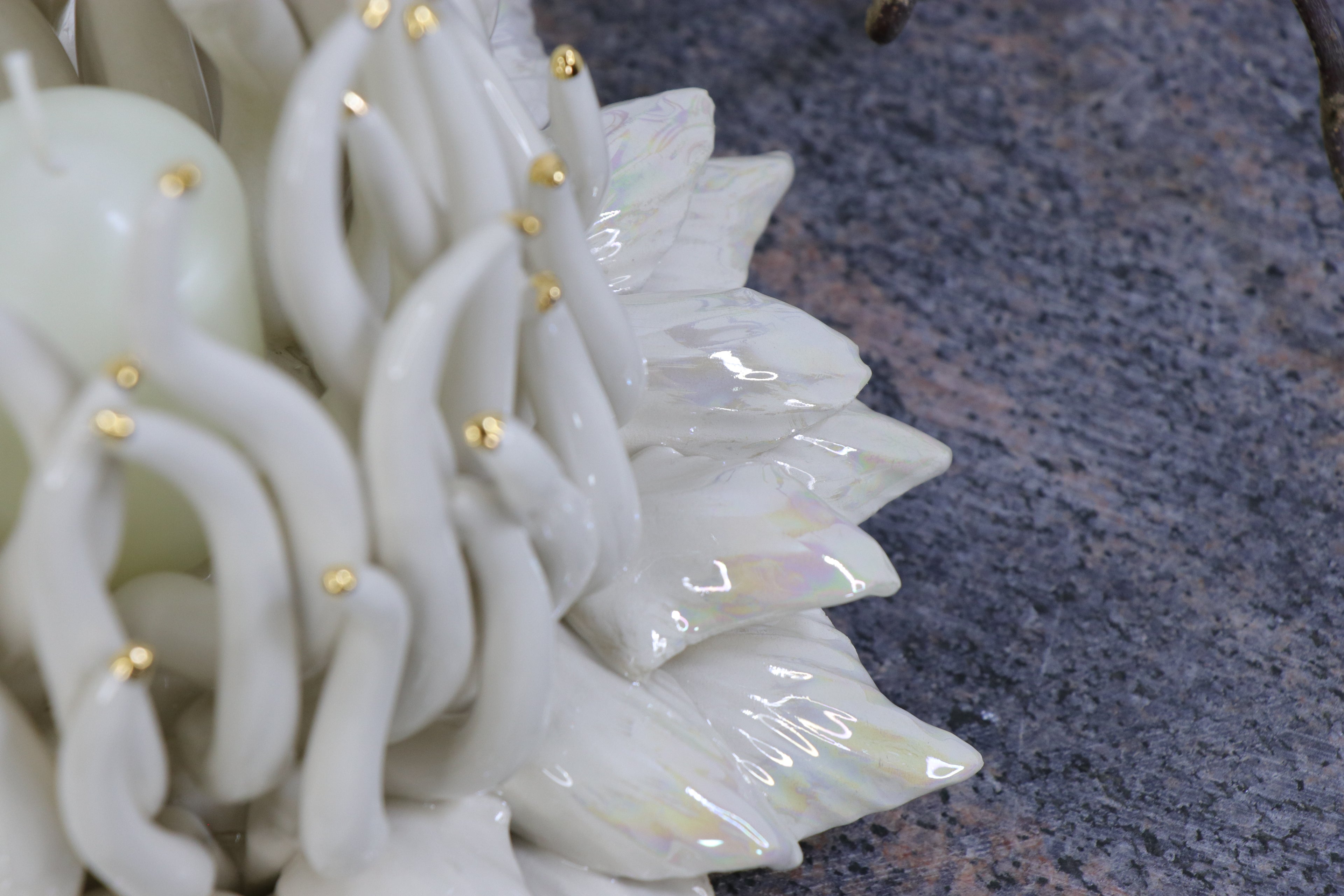 Oval Peace | Without Birds