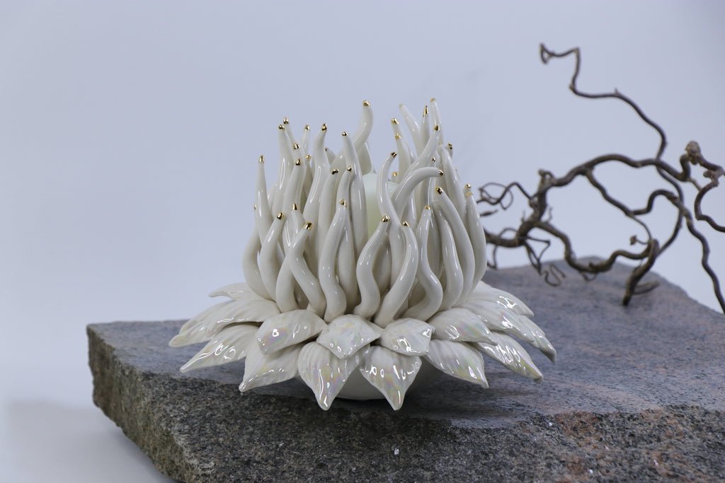 Oval Peace | Without Birds