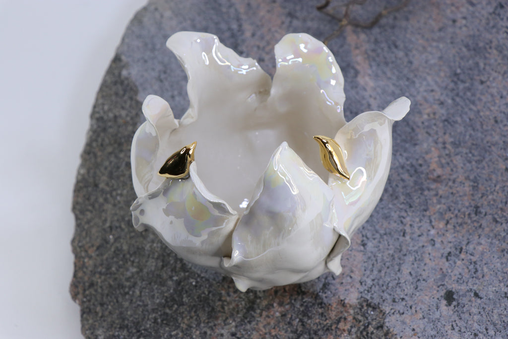 Oval Peace | Without Birds