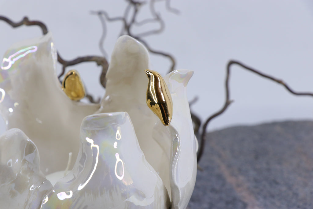 Oval Peace | Without Birds