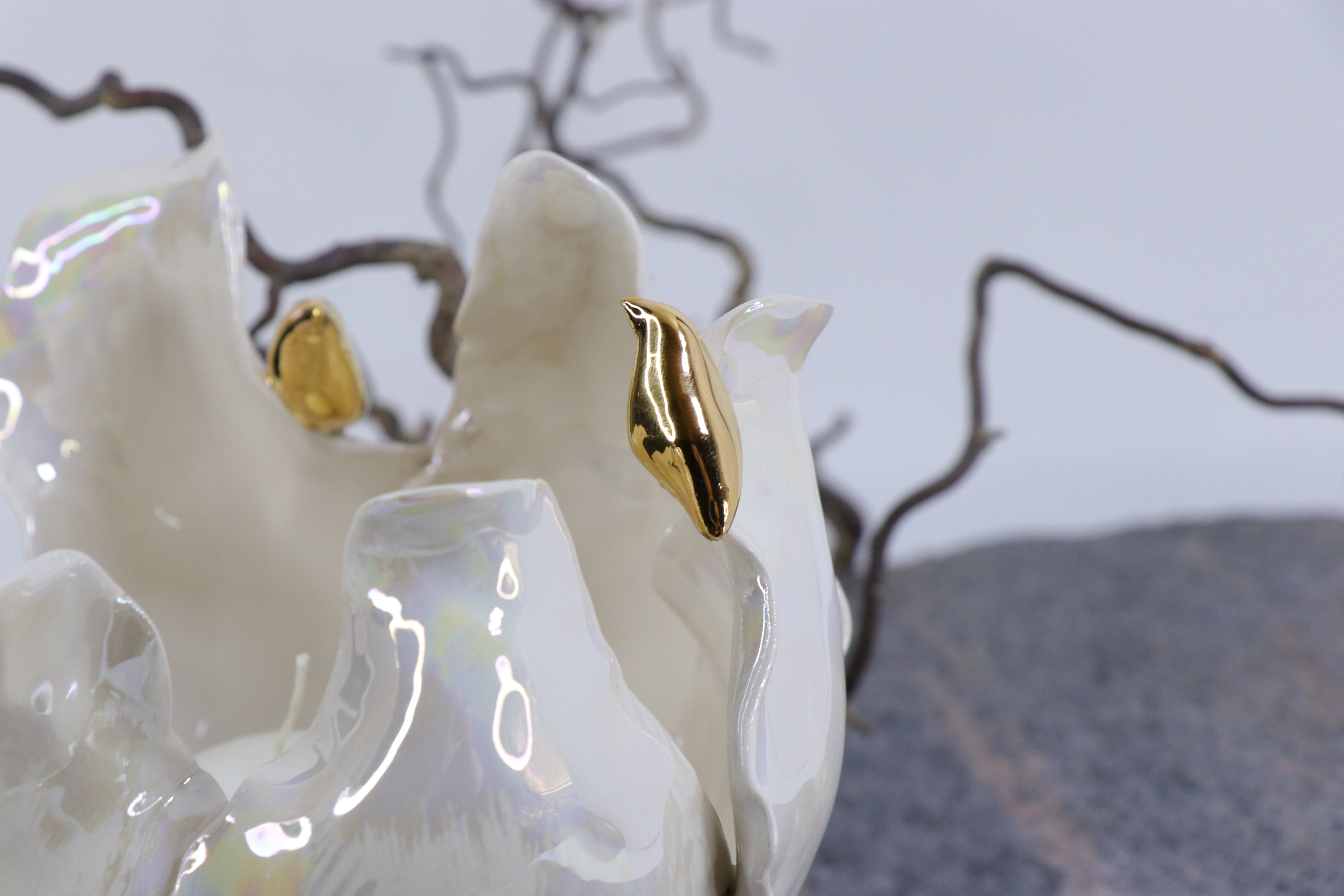 Oval Peace | Without Birds