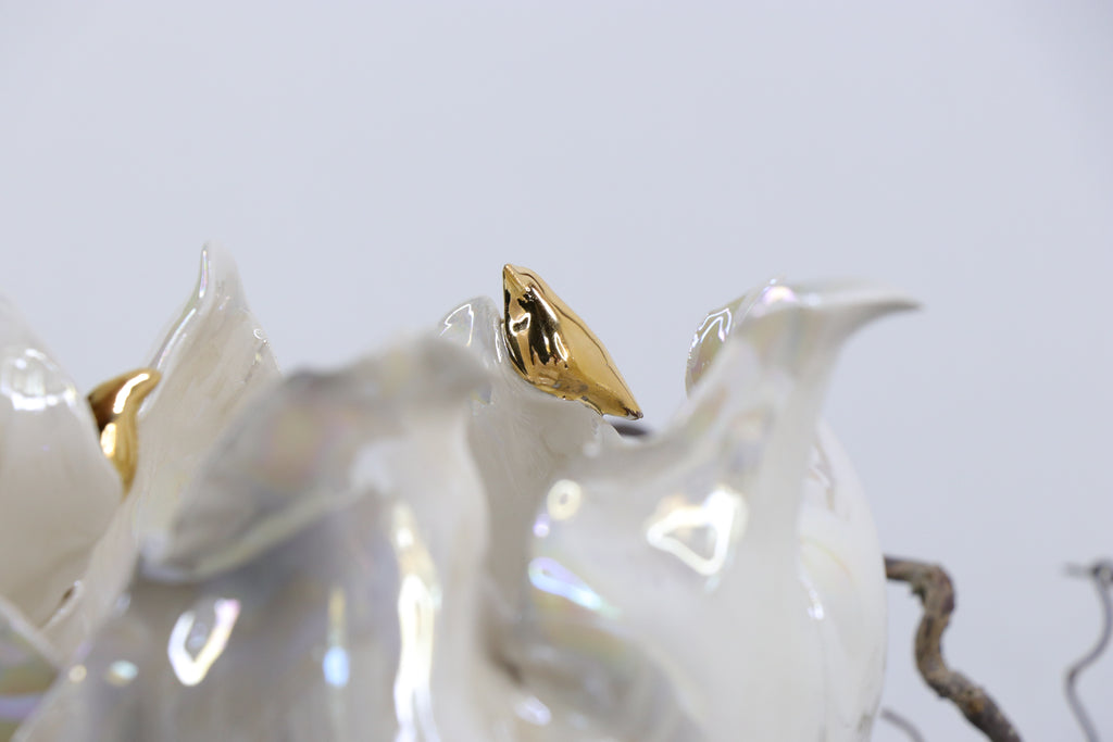 Oval Peace | Without Birds