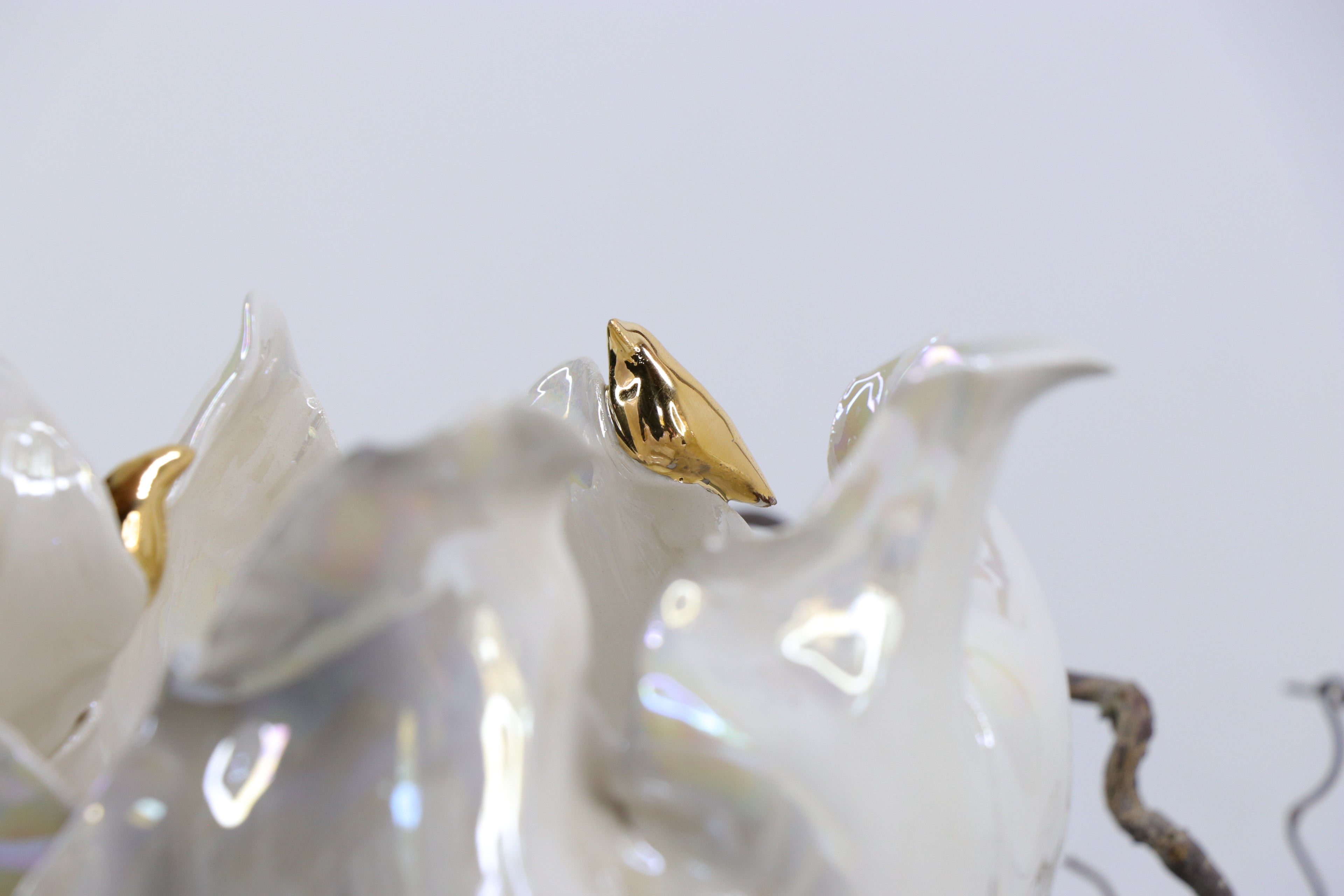 Oval Peace | Without Birds