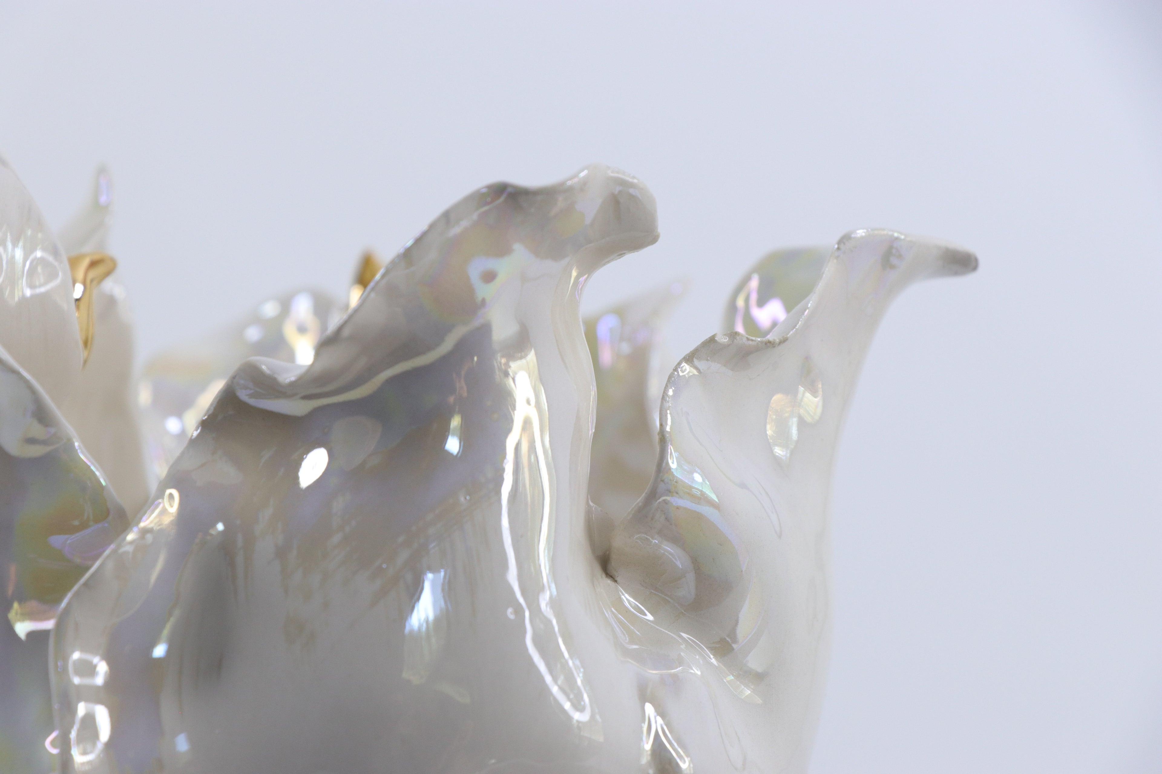 Oval Peace | Without Birds