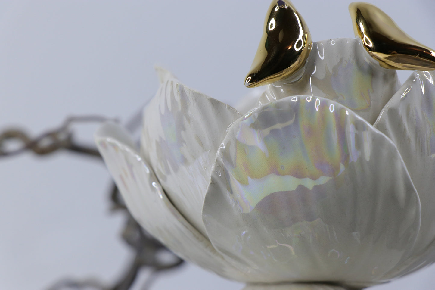 Oval peace | With birds