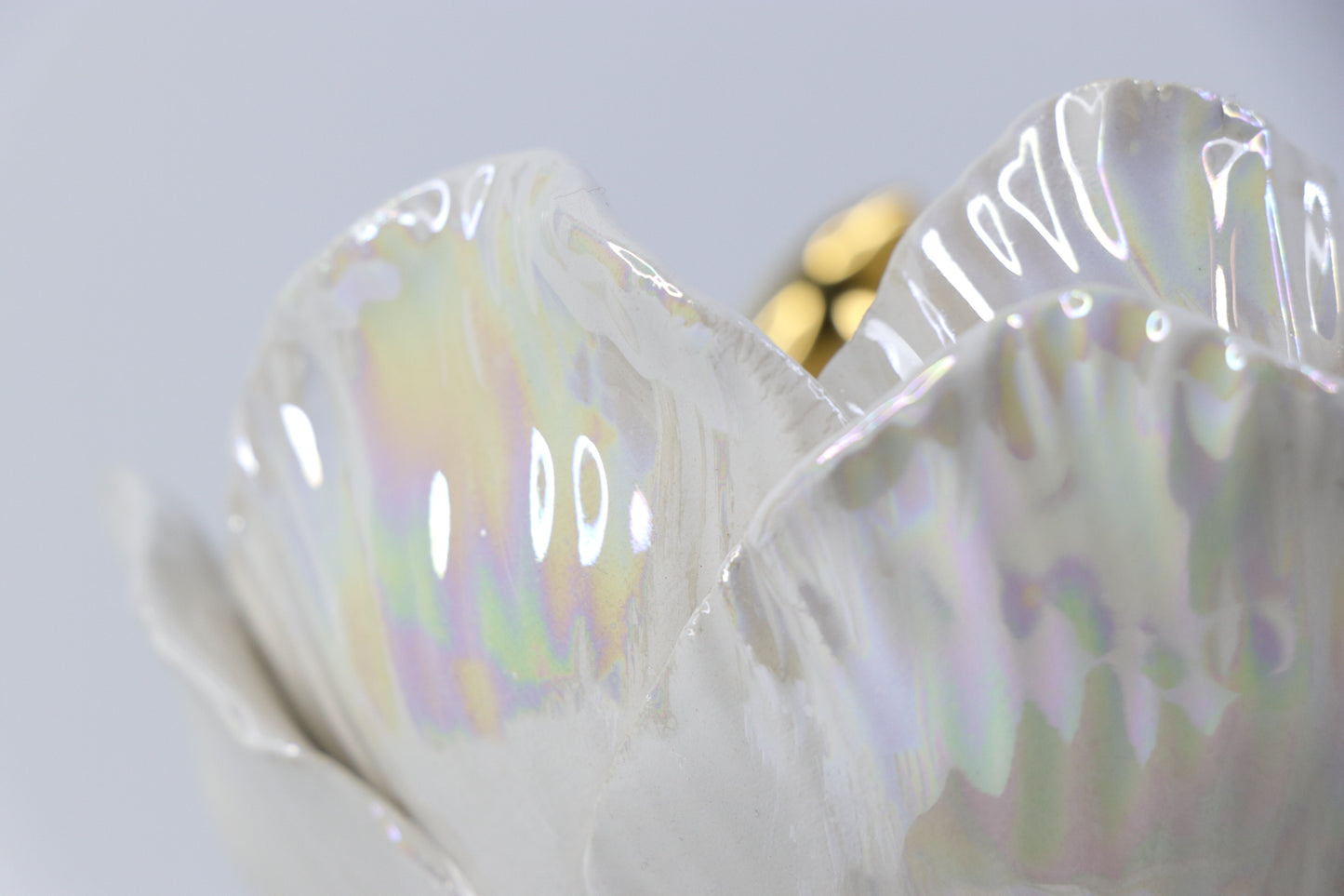 Oval peace | With birds