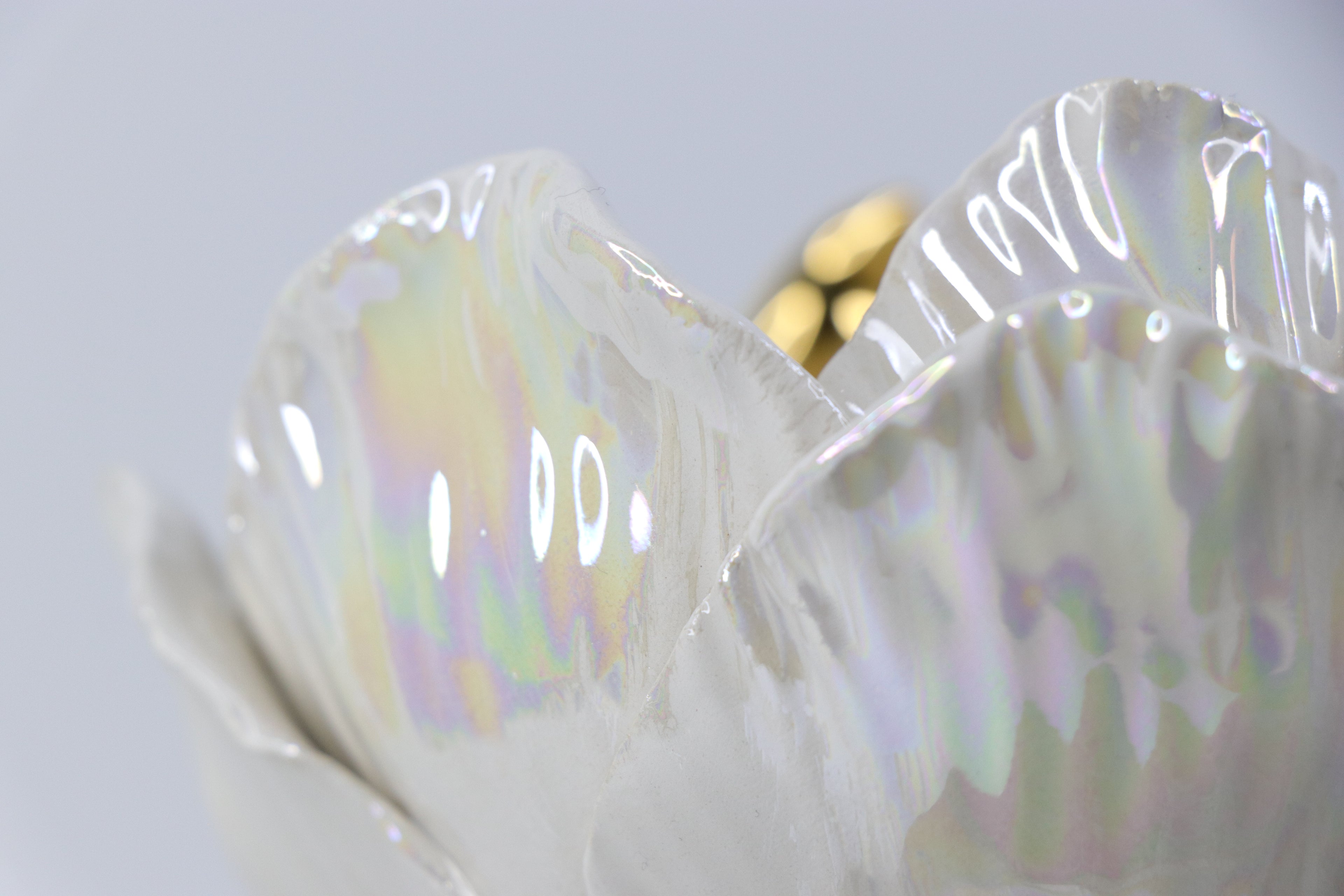 Oval peace | With birds