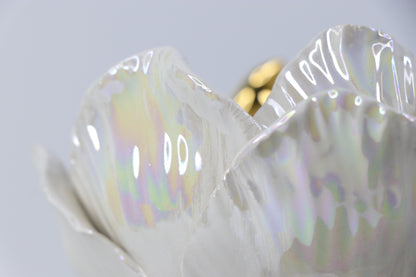 Oval peace | With birds