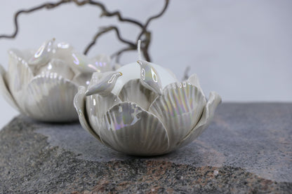 Oval Peace | Without Birds