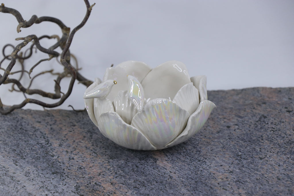 Oval Peace | Without Birds