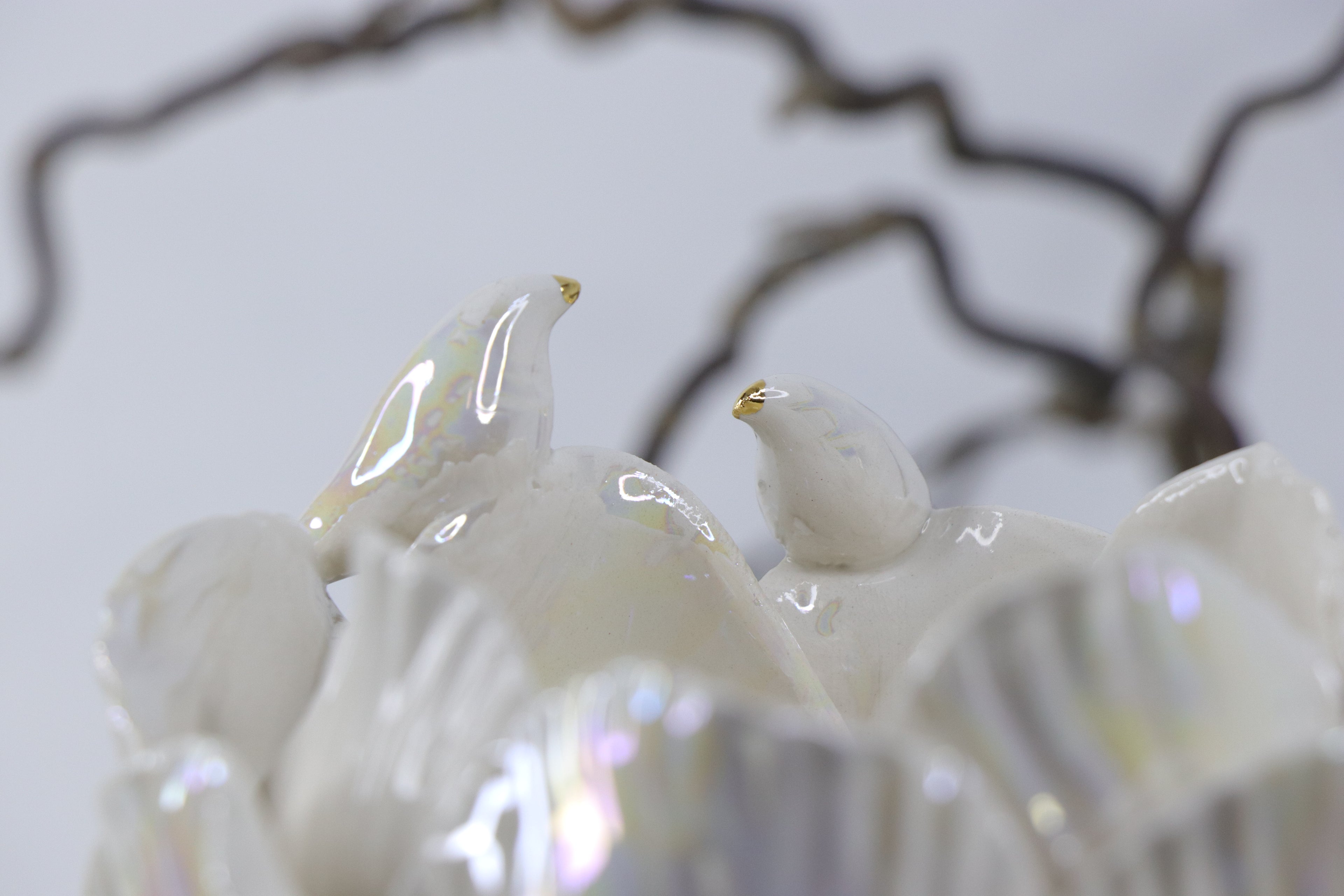 Oval Peace | Without Birds