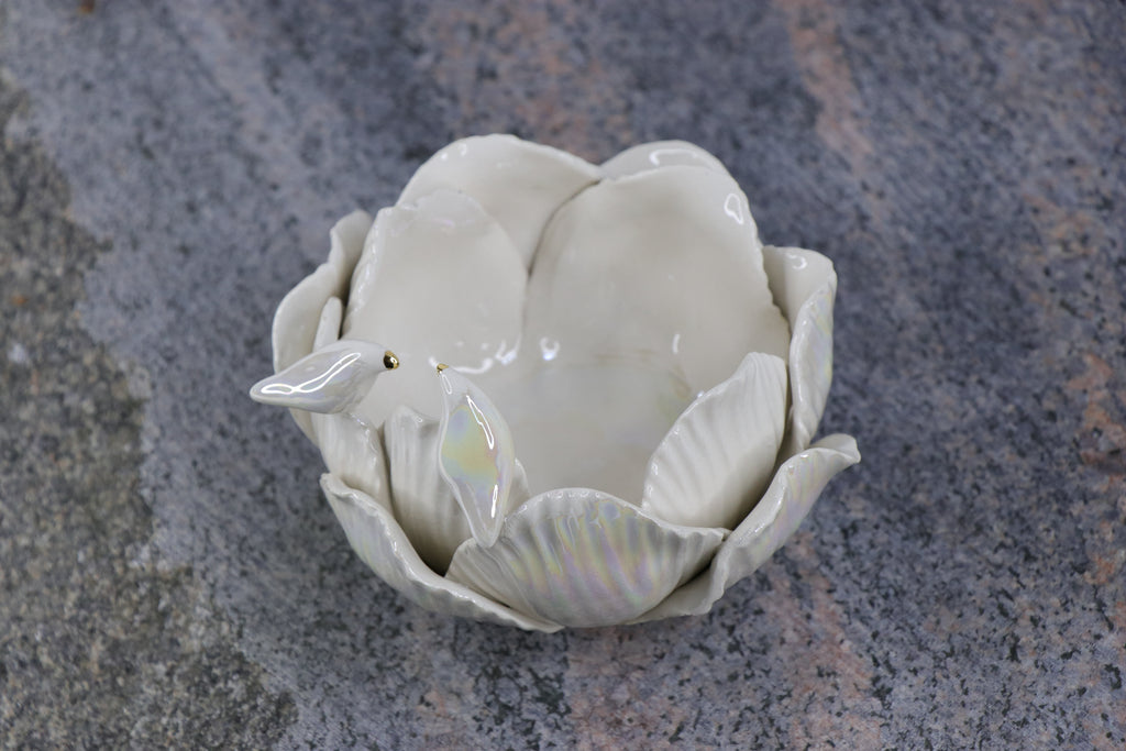 Oval Peace | Without Birds