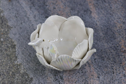 Oval Peace | Without Birds