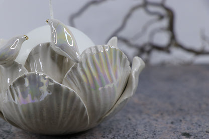 Oval Peace | Without Birds