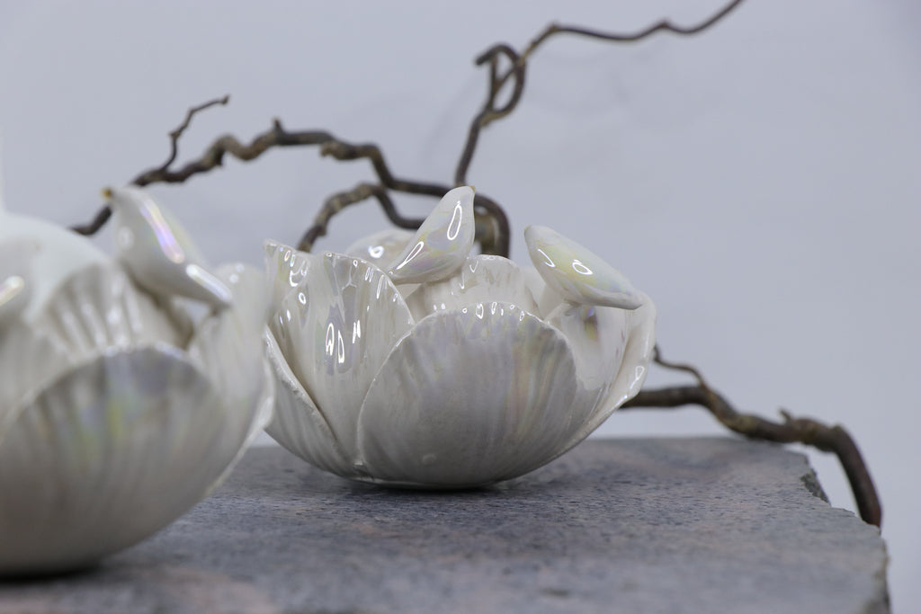 Oval Peace | Without Birds