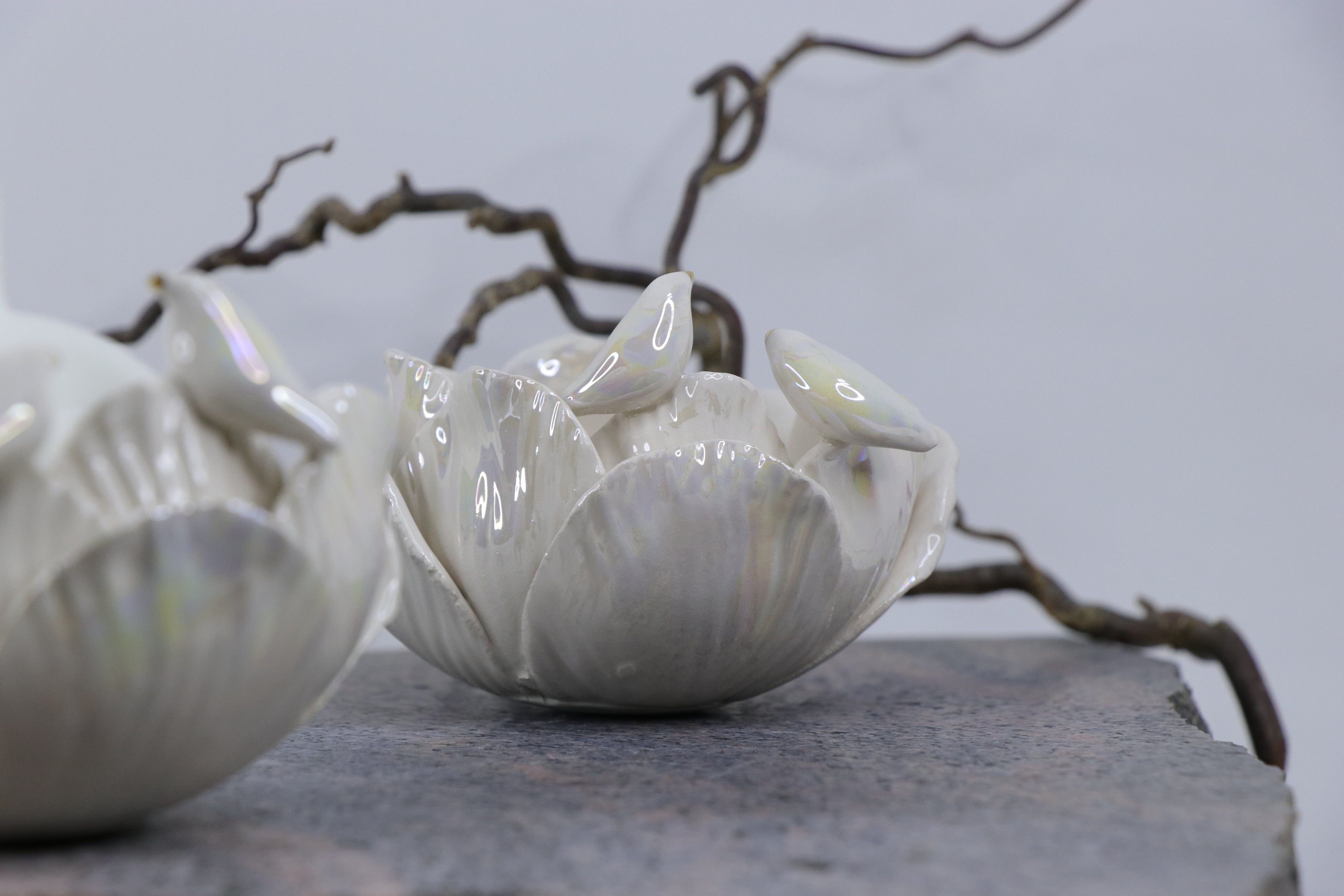 Oval Peace | Without Birds