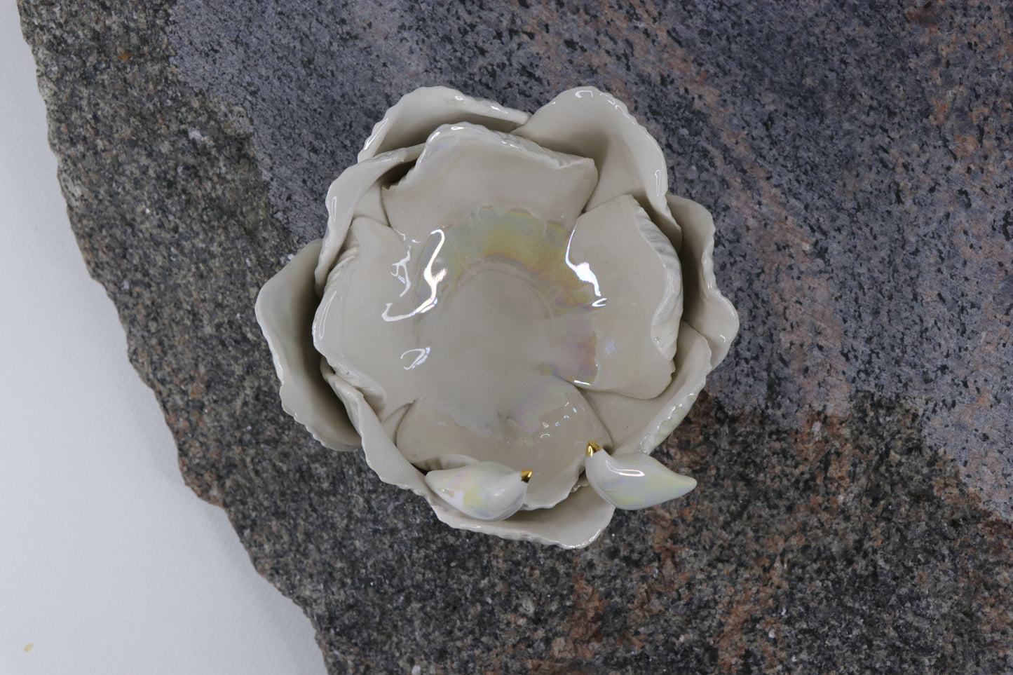 Oval Peace | Without Birds