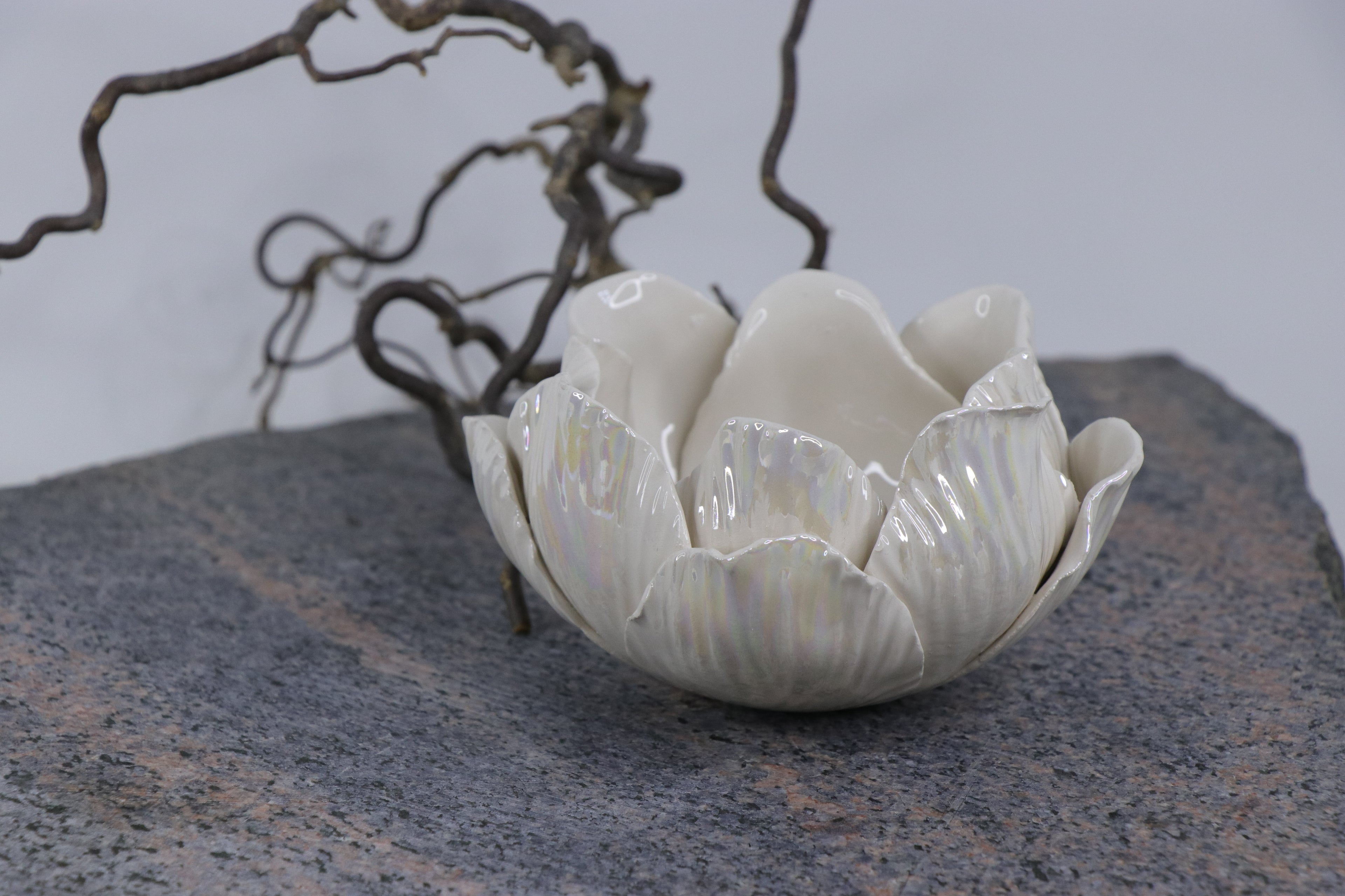 Oval Peace | Without Birds