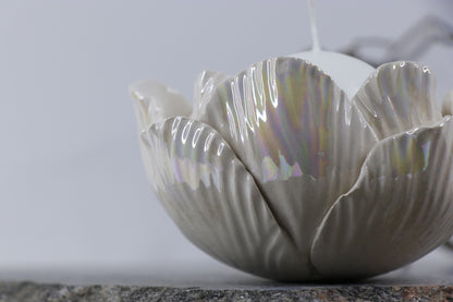 Oval Peace | Without Birds