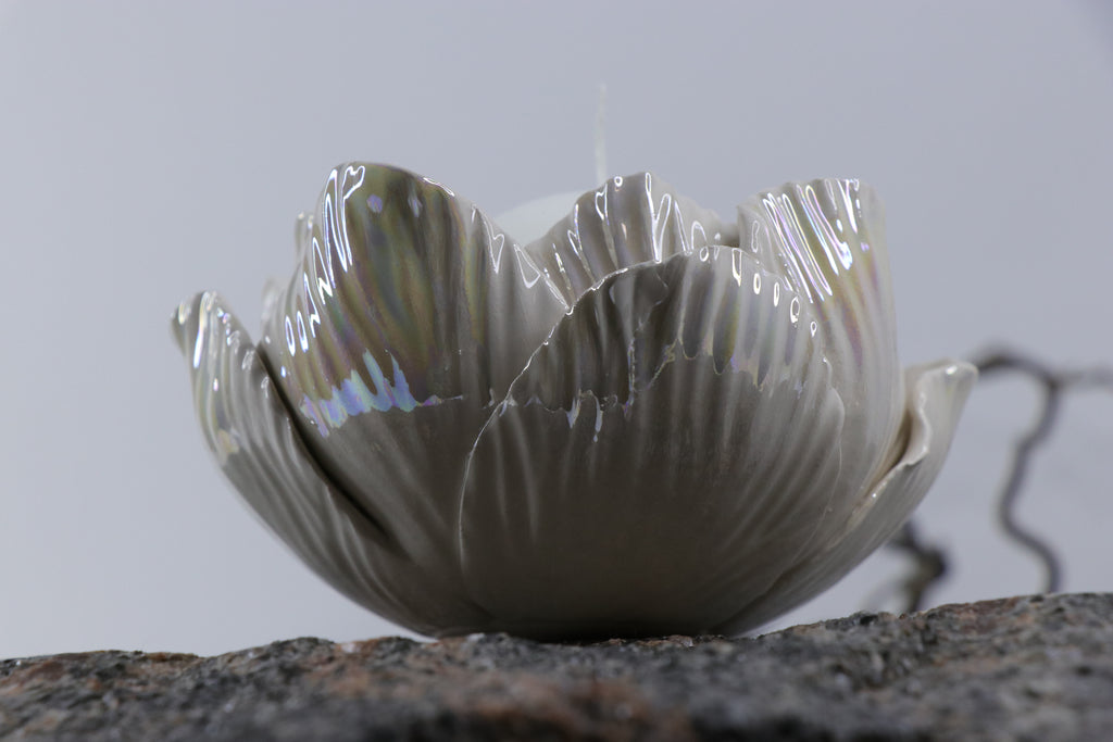 Oval Peace | Without Birds