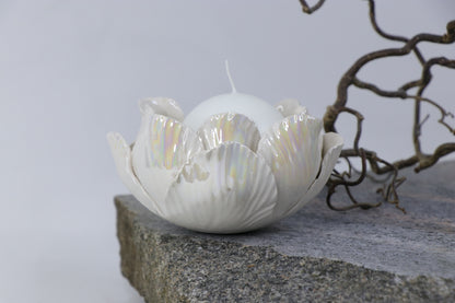 Oval Peace | Without Birds