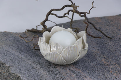 Oval Peace | Without Birds