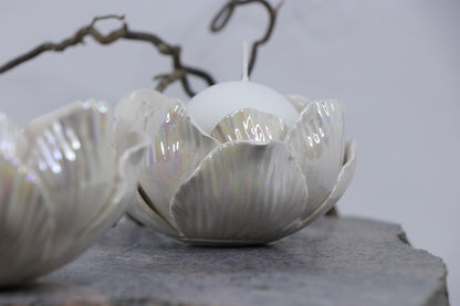 Oval Peace | Without Birds