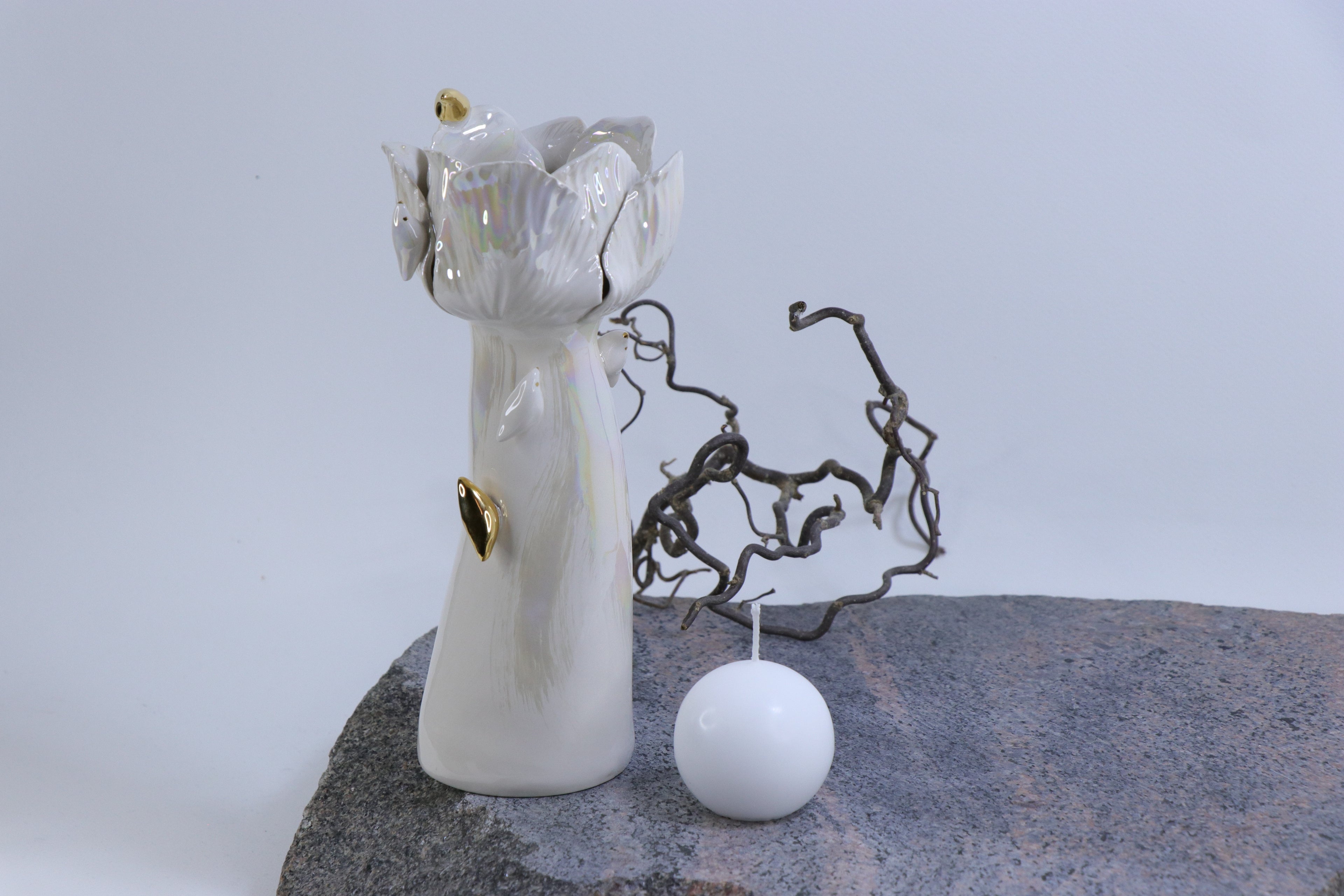 Sparnų prieglobstis